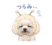 842575693