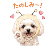 842575696