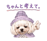 842575711