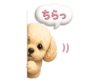 842575812