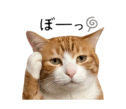842575935