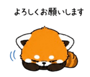 842576116