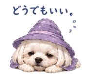 842576249