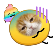 842576465