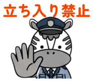 842576705