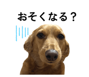 842576760