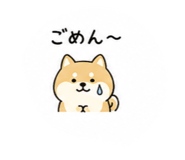842576775