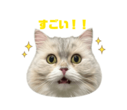 842576820