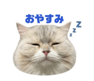 842576824