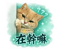 842577482