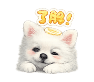 842577950
