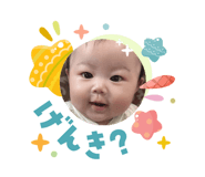 842577957