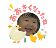 842577971