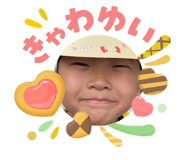 842578144