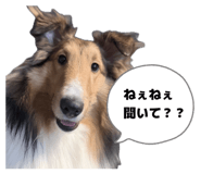 842579232