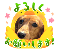 842579450