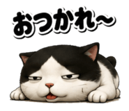 842579906