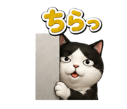 842579911