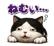 842579915