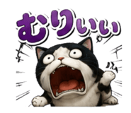 842579916