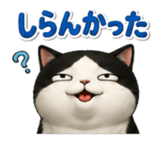 842579922