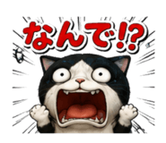 842579927
