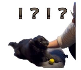 842579985