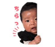 842580007