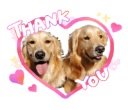 842580376