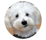842580395
