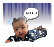 842580501
