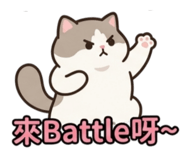 842581060