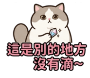 842581062