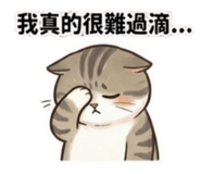 842581075