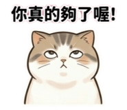 842581079