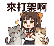 842581675