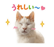 842582177
