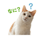 842582183