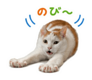 842582187