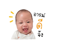 842586165