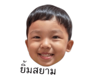 842586381