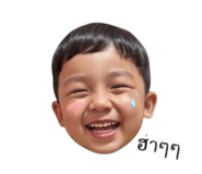 842586384
