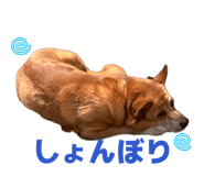842586467