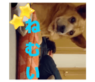 842586471