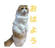 842586472