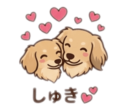842586804