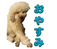 842586910