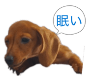842586918