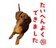 842586919