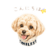 842587053